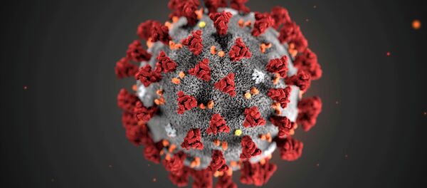 Una ilustración del nuevo coronavirus 2019-nCoV - Sputnik Mundo