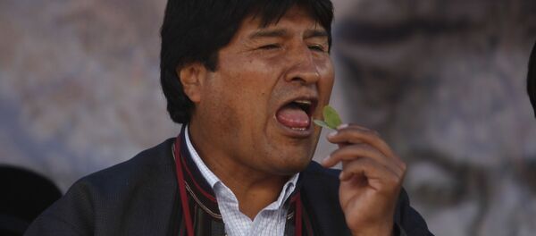 Evo Morales, expresidente de Bolivia, con una hoja de coca (archivo) - Sputnik Mundo