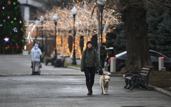 Una mujer en el parque Gorky en enero 2020 en Moscú Una mujer en el parque Gorky en enero 2020 en Moscú - Sputnik Mundo