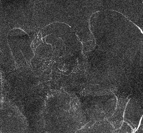 Esto es lo que escondía un famoso cuadro de Leonardo da Vinci | Foto - Sputnik Mundo