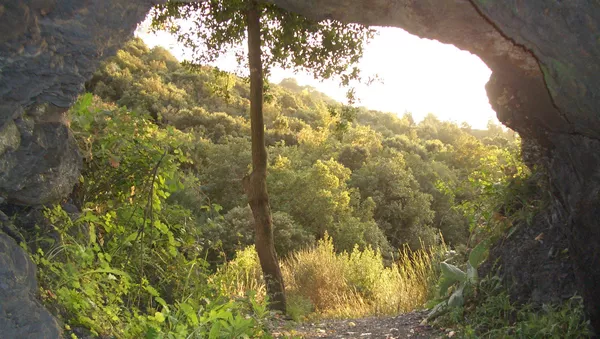 Las cuevas cerca de L'Espluga de Francolí