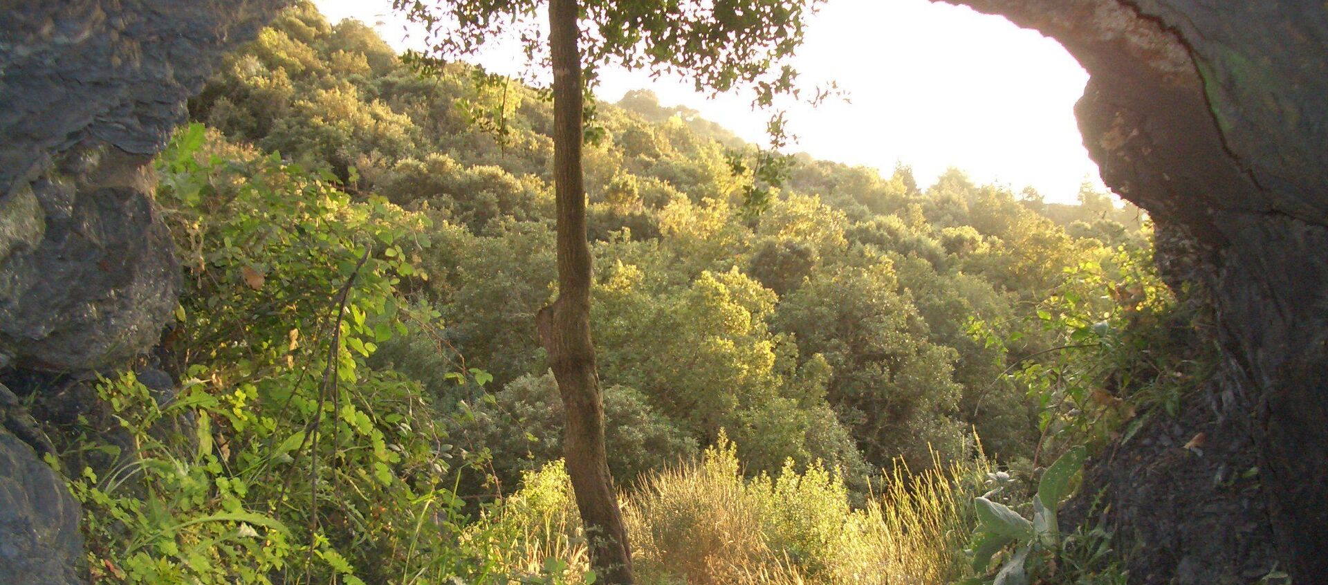 Las cuevas cerca de L'Espluga de Francolí Las cuevas cerca de L'Espluga de Francolí - Sputnik Mundo, 1920, 09.02.2020