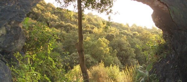Las cuevas cerca de L'Espluga de Francolí - Sputnik Mundo