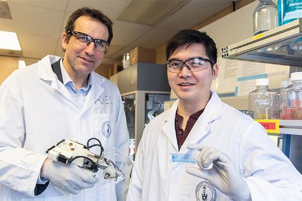 Esta impresora de piel 3D puede curar quemaduras graves | Vídeo, foto Esta impresora de piel 3D puede curar quemaduras graves | Vídeo, foto - Sputnik Mundo