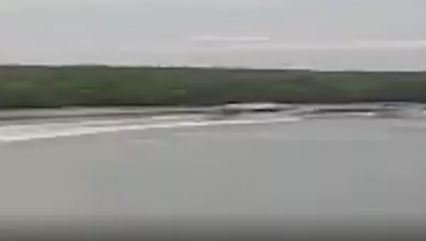 Vídeo de una mortal colisión de 2 lanchas - Sputnik Mundo
