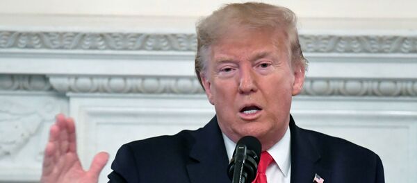 Donald Trump, el presidente de EEUU - Sputnik Mundo