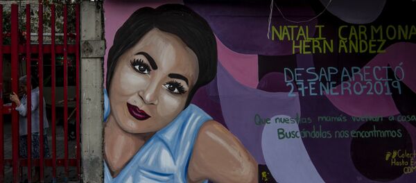 Mural de Natali Carmona Hernández, sobre la calle Cuauhtémoc en la colonia San Lorenzo Tezonco Mural de Natali Carmona Hernández, sobre la calle Cuauhtémoc en la colonia San Lorenzo Tezonco - Sputnik Mundo