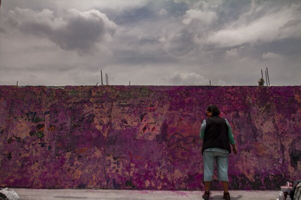María del Carmen Volante, madre de Pamela Gallardo, desaparecida el 5 de noviembre de 2017; durante la elaboración del mural de su hija, en la estación de Metrobús La Joya, en la alcaldía Tlalpan.  - Sputnik Mundo
