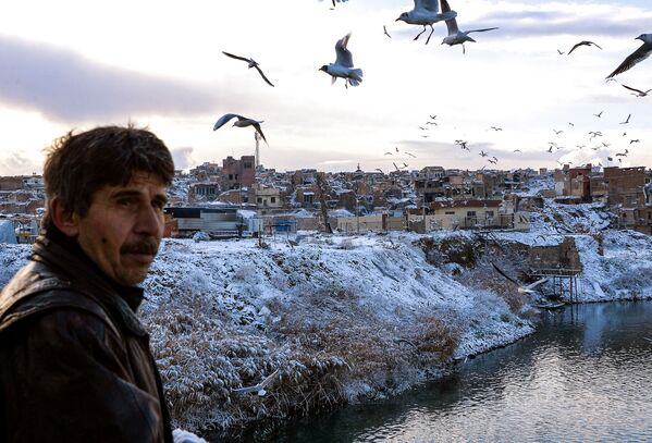 La mayor parte de los habitantes de Mosul era árabe. No obstante, también existían minorías de turkmenos, yazidíes y kurdos. Los habitantes y procedentes de Mosul se llaman mosulíes. En la foto: unas gaviotas sobrevuelan el Tigris en Mosul en febrero de 2020. La mayor parte de los habitantes de Mosul era árabe. No obstante, también existían minorías de turkmenos, yazidíes y kurdos. Los habitantes y procedentes de Mosul se llaman mosulíes. En la foto: unas gaviotas sobrevuelan el Tigris en Mosul en febrero de 2020. - Sputnik Mundo
