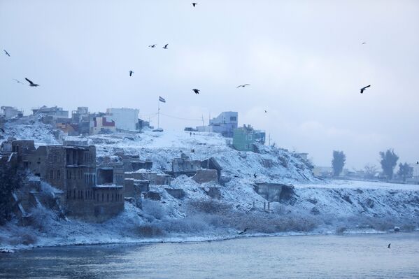Durante el tiempo en que los terroristas ocuparon Mosul, y a causa de las operaciones llevadas a cabo para liberarla, 15 de las 54 zonas residenciales del sector occidental de la ciudad quedaron prácticamente reducidas a escombros y en estado inhabitable. En otras 23 zonas residenciales se produjeron daños moderados. Durante el tiempo en que los terroristas ocuparon Mosul, y a causa de las operaciones llevadas a cabo para liberarla, 15 de las 54 zonas residenciales del sector occidental de la ciudad quedaron prácticamente reducidas a escombros y en estado inhabitable. En otras 23 zonas residenciales se produjeron daños moderados. - Sputnik Mundo