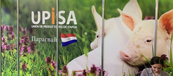 Upisa busca diversificar sus exportaciones en Rusia - Sputnik Mundo