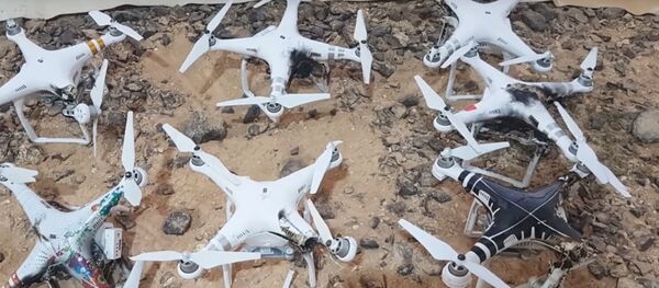 Drones derribados por Drone Dome - Sputnik Mundo
