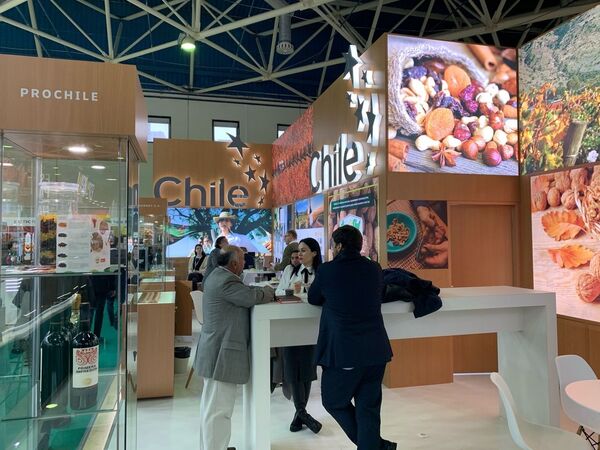 Chile consolida la presencia de su vino y frutos secos en el mercado ruso Chile consolida la presencia de su vino y frutos secos en el mercado ruso - Sputnik Mundo