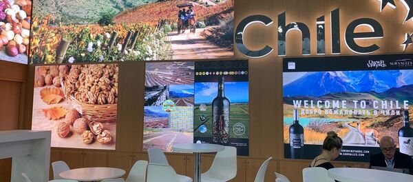 Pabellón chileno en la feria agroalimentaria internacional Prodexpo - Sputnik Mundo