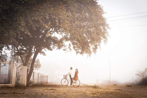 'Love is in the air': las fotos románticas más impresionantes
 - Sputnik Mundo