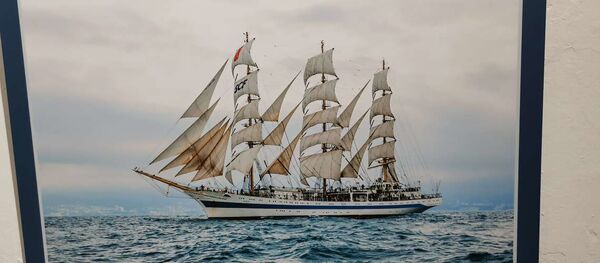 Una de las fotografías que integran la muesta 'Aristócratas del mar' en el Museo Marítimo y del Presidio de Ushuaia, Argentina - Sputnik Mundo