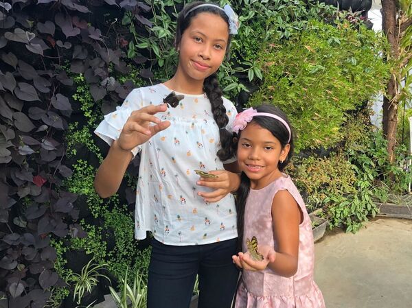 Vender mariposas: una idea atrevida y real en Colombia Vender mariposas: una idea atrevida y real en Colombia - Sputnik Mundo