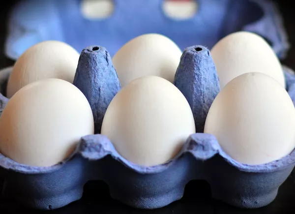 Guardar los huevos en la puerta del refrigerador es peligroso y todos lo hacemos, ¿por qué? Guardar los huevos en la puerta del refrigerador es peligroso y todos lo hacemos, ¿por qué? - Sputnik Mundo