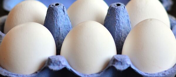 Huevos de gallina en cartón - Sputnik Mundo
