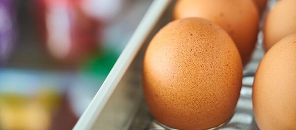 Huevos en refrigerador - Sputnik Mundo