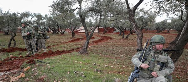 Militares turcos en Siria - Sputnik Mundo