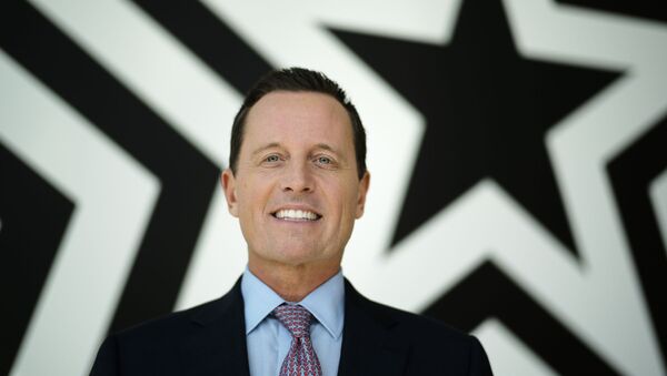 Richard Grenell, embajador de EEUU en Alemania - Sputnik Mundo