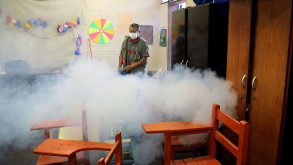 La epidemia de dengue en Paraguay - Sputnik Mundo