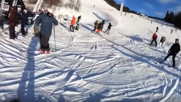 Un alce adelanta a un esquiador en una carrera  - Sputnik Mundo