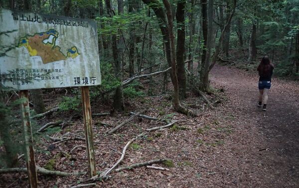 El bosque de suicidas en Japón El bosque de suicidas en Japón - Sputnik Mundo