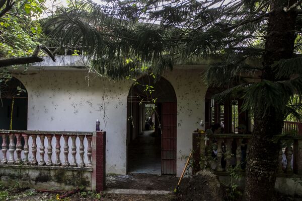 Familias de desaparecidos señalan que México vive una crisis forense inédita en el mundo - Sputnik Mundo