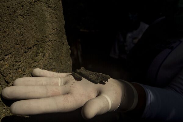 Familias de desaparecidos señalan que México vive una crisis forense inédita en el mundo - Sputnik Mundo