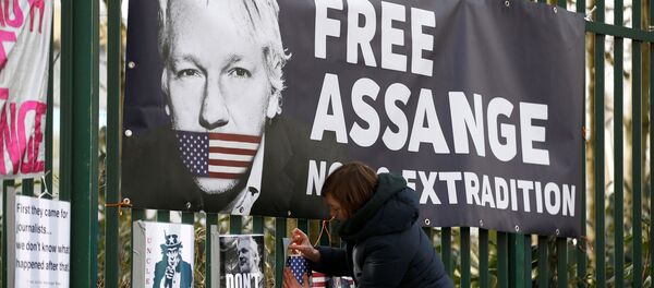 Una activista en las manifestaciónes contra la extradición de Julian Assange - Sputnik Mundo