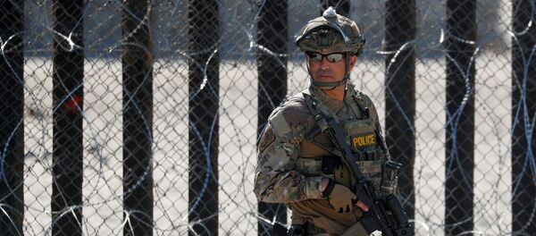 Un agente de Aduanas y Protección Fronteriza de Estados Unidos Un agente de Aduanas y Protección Fronteriza de Estados Unidos - Sputnik Mundo