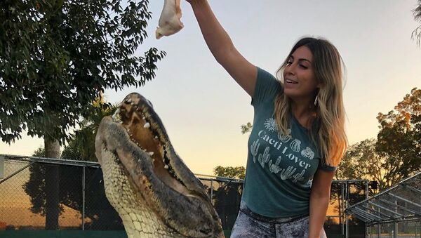 Gabby Nikolle y un cocodrilo - Sputnik Mundo