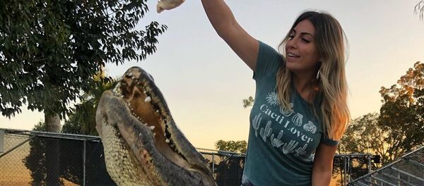 Gabby Nikolle y un cocodrilo - Sputnik Mundo