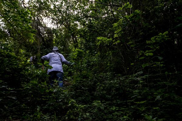 Familias de desaparecidos denuncian campos de exterminio en Veracruz - Sputnik Mundo