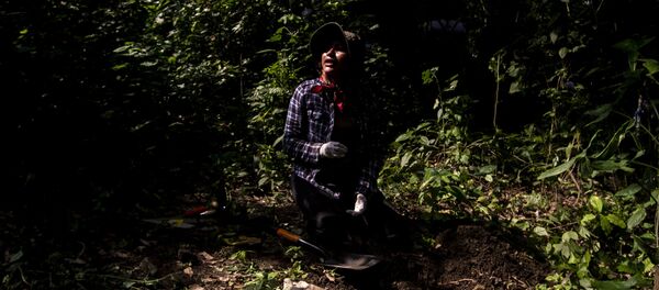 Familias de desaparecidos denuncian campos de exterminio en Veracruz Familias de desaparecidos denuncian campos de exterminio en Veracruz - Sputnik Mundo