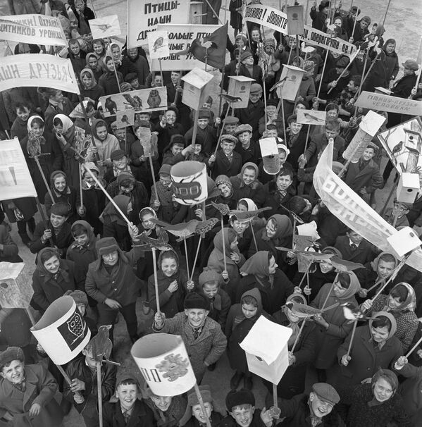 Sábados comunistas y casitas de pájaros: así celebraban la llegada de la primavera en la URSS

 - Sputnik Mundo