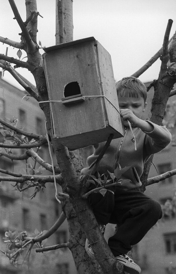 Sábados comunistas y casitas de pájaros: así celebraban la llegada de la primavera en la URSS

 - Sputnik Mundo