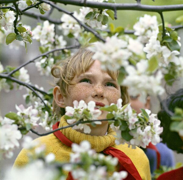 Sábados comunistas y casitas de pájaros: así celebraban la llegada de la primavera en la URSS

 - Sputnik Mundo