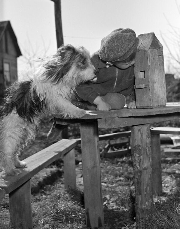Sábados comunistas y casitas de pájaros: así celebraban la llegada de la primavera en la URSS

 - Sputnik Mundo