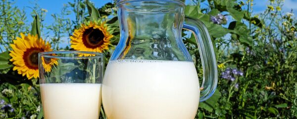 Leche de vaca - Sputnik Mundo