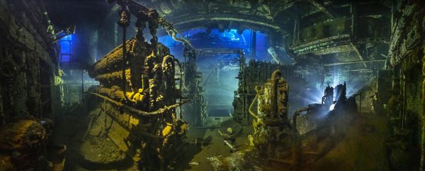 El concurso de fotografía submarina Underwater Photographer of the Year 2020, en imágenes
 - Sputnik Mundo