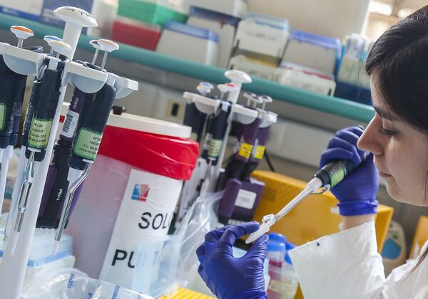 Así es la barrera que Chile preparó para frenar al coronavirus | Fotos - Sputnik Mundo