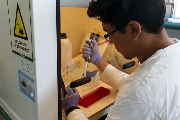 Así es la barrera que Chile preparó para frenar al coronavirus | Fotos - Sputnik Mundo