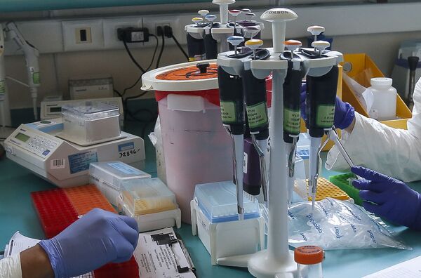 Así es la barrera que Chile preparó para frenar al coronavirus | Fotos - Sputnik Mundo