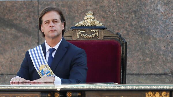 Luis Lacalle Pou, presidente de Uruguay - Sputnik Mundo