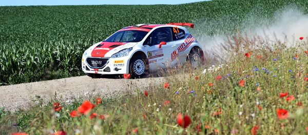 El Peugeot 208, foto de archivo - Sputnik Mundo