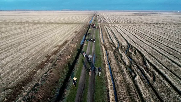 Los migrantes caminan a lo largo de los campos cerca de la línea fronteriza para llegar a Grecia - Sputnik Mundo