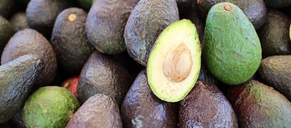 Aguacate - Sputnik Mundo